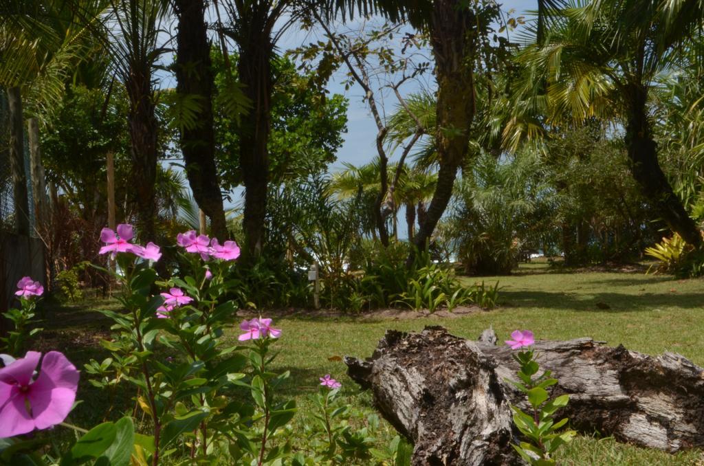 Pousada Tortuga Barra Grande  Extérieur photo