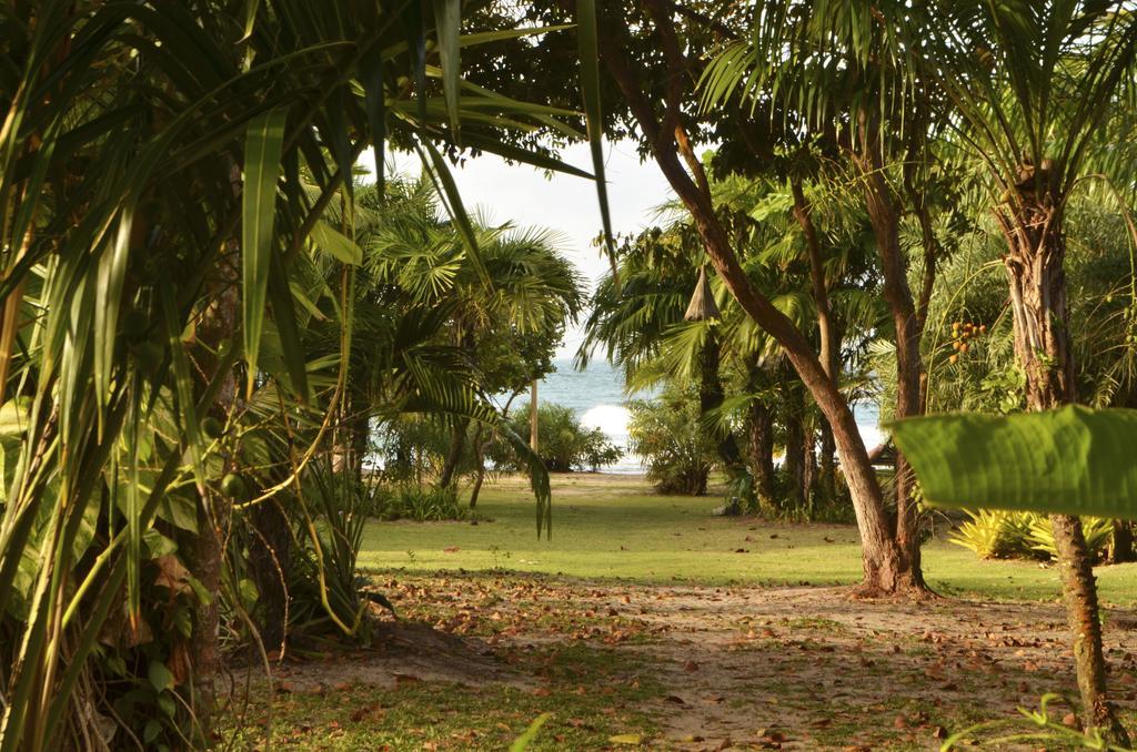 Pousada Tortuga Barra Grande  Extérieur photo